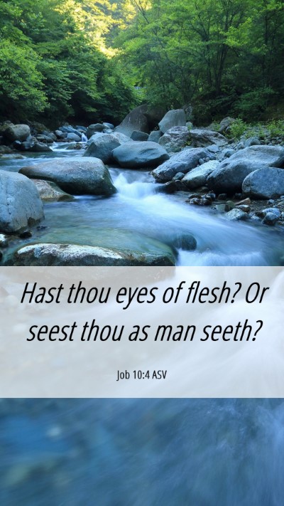 Picture 06 - Job 10:4 ASV Mobile Phone Wallpaper - Hast thou eyes of flesh? Or seest thou as man - Mobile Bible Verse Wallpaper