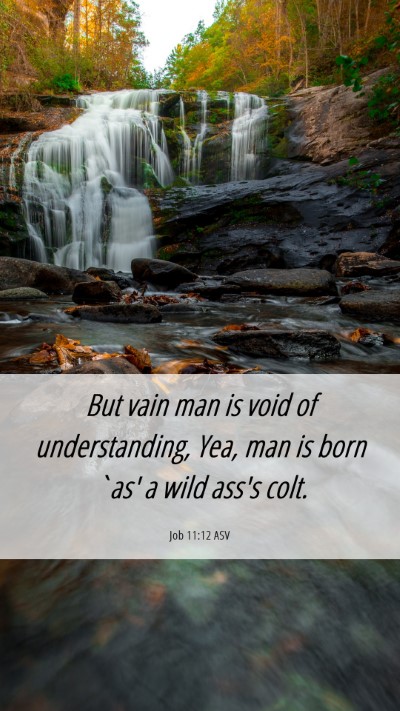 Picture 06 - Job 11:12 ASV Mobile Phone Wallpaper - But vain man is void of understanding, Yea, man - Mobile Bible Verse Wallpaper