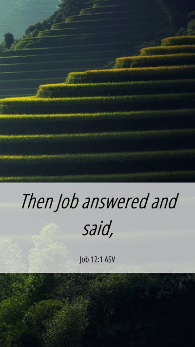 Picture 06 - Job 12:1 ASV Mobile Phone Wallpaper - Then Job answered and - Mobile Bible Verse Wallpaper