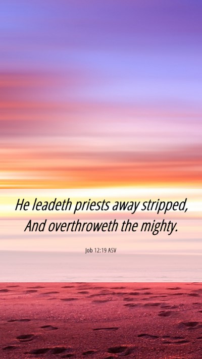 Picture 06 - Job 12:19 ASV Mobile Phone Wallpaper - He leadeth priests away stripped, And - Mobile Bible Verse Wallpaper