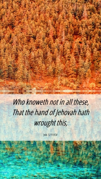 Picture 06 - Job 12:9 ASV Mobile Phone Wallpaper - Who knoweth not in all these, That the hand of - Mobile Bible Verse Wallpaper