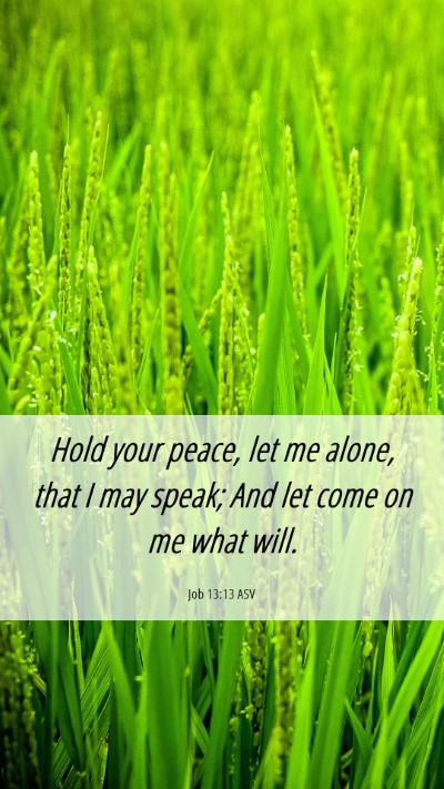 Picture 06 - Job 13:13 ASV Mobile Phone Wallpaper - Hold your peace, let me alone, that I may speak; - Mobile Bible Verse Wallpaper