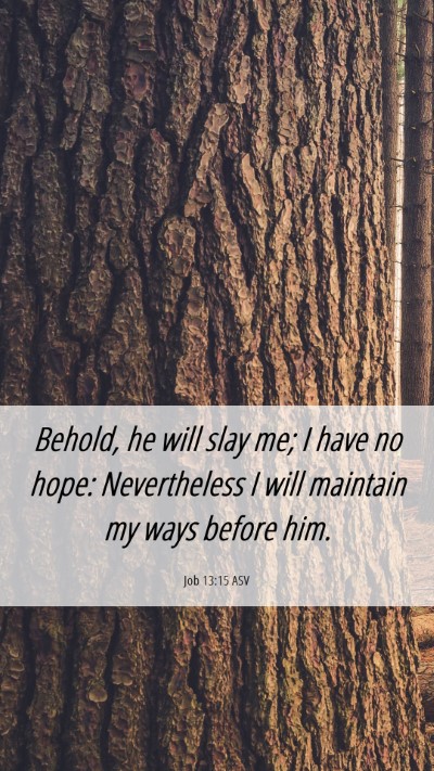 Picture 06 - Job 13:15 ASV Mobile Phone Wallpaper - Behold, he will slay me; I have no hope: - Mobile Bible Verse Wallpaper