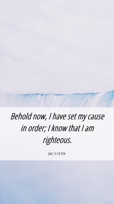 Picture 06 - Job 13:18 ASV Mobile Phone Wallpaper - Behold now, I have set my cause in order; I know - Mobile Bible Verse Wallpaper