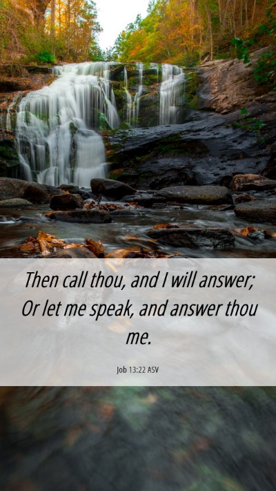 Picture 06 - Job 13:22 ASV Mobile Phone Wallpaper - Then call thou, and I will answer; Or let me - Mobile Bible Verse Wallpaper