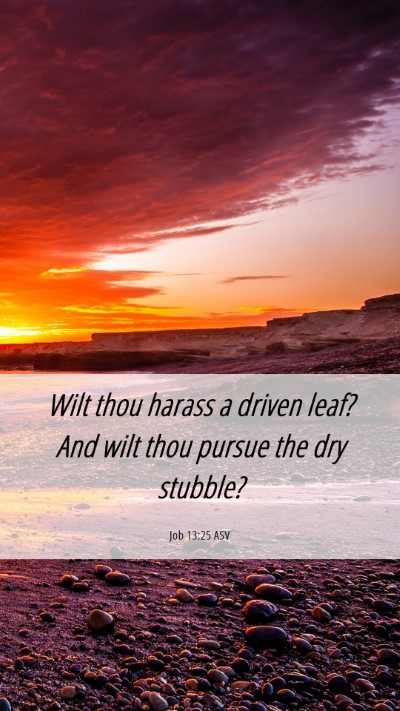 Picture 06 - Job 13:25 ASV Mobile Phone Wallpaper - Wilt thou harass a driven leaf? And wilt thou - Mobile Bible Verse Wallpaper