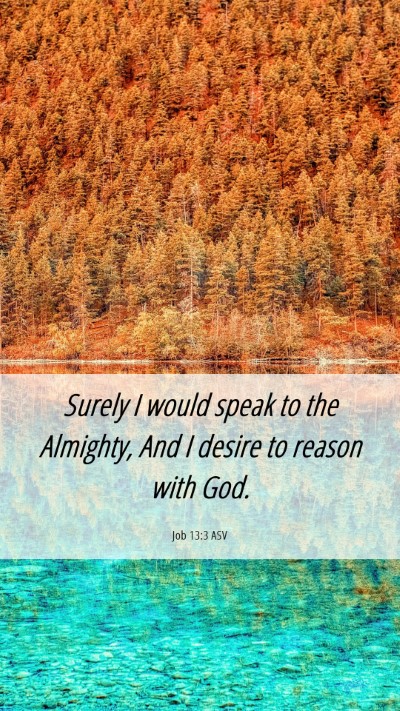 Picture 06 - Job 13:3 ASV Mobile Phone Wallpaper - Surely I would speak to the Almighty, And I - Mobile Bible Verse Wallpaper
