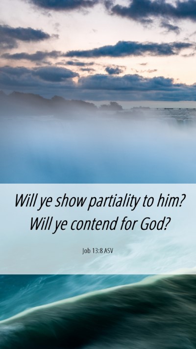 Picture 06 - Job 13:8 ASV Mobile Phone Wallpaper - Will ye show partiality to him? Will ye contend - Mobile Bible Verse Wallpaper