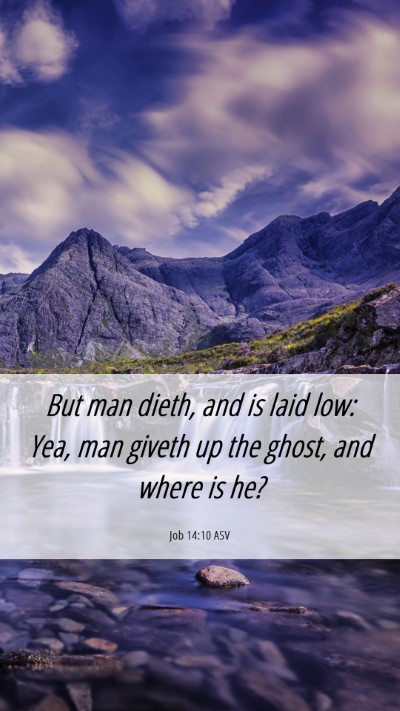 Picture 06 - Job 14:10 ASV Mobile Phone Wallpaper - But man dieth, and is laid low: Yea, man giveth - Mobile Bible Verse Wallpaper