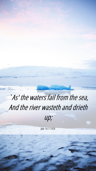 Picture 06 - Job 14:11 ASV Mobile Phone Wallpaper - `As' the waters fail from the sea, And the river - Mobile Bible Verse Wallpaper