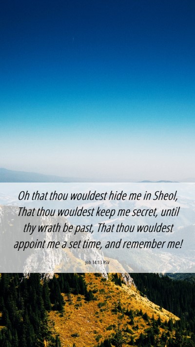 Picture 06 - Job 14:13 ASV Mobile Phone Wallpaper - Oh that thou wouldest hide me in Sheol, That thou - Mobile Bible Verse Wallpaper
