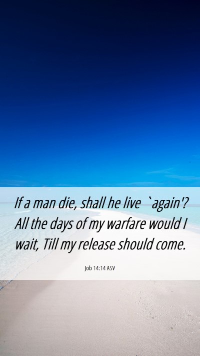 Picture 06 - Job 14:14 ASV Mobile Phone Wallpaper - If a man die, shall he live `again'? All the days - Mobile Bible Verse Wallpaper