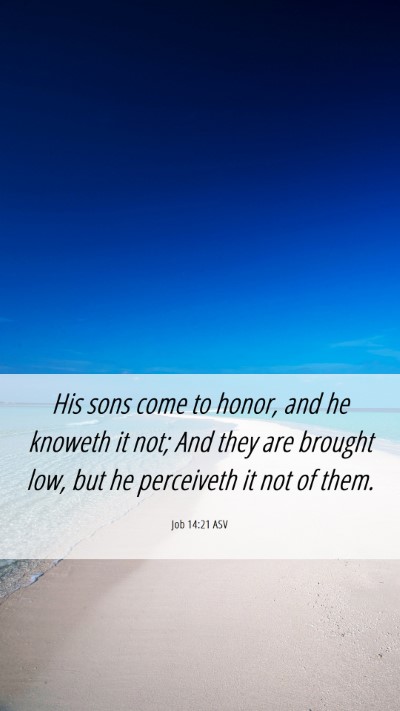Picture 06 - Job 14:21 ASV Mobile Phone Wallpaper - His sons come to honor, and he knoweth it not; - Mobile Bible Verse Wallpaper