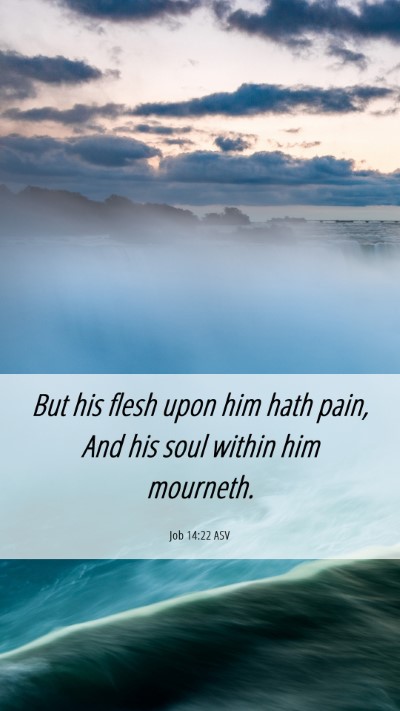 Picture 06 - Job 14:22 ASV Mobile Phone Wallpaper - But his flesh upon him hath pain, And his soul - Mobile Bible Verse Wallpaper