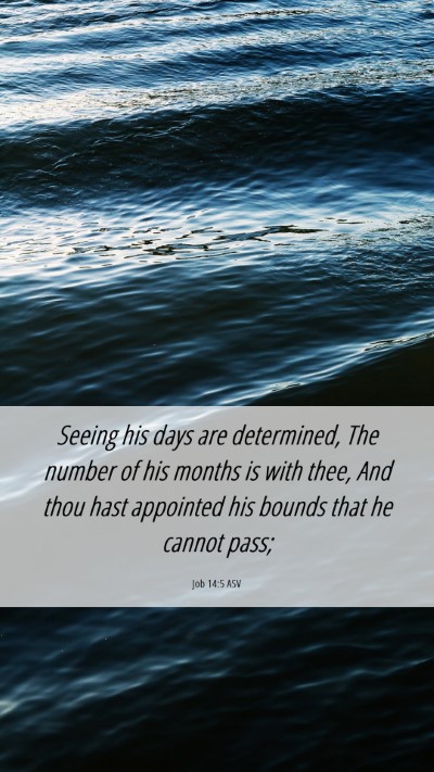 Picture 06 - Job 14:5 ASV Mobile Phone Wallpaper - Seeing his days are determined, The number of his - Mobile Bible Verse Wallpaper