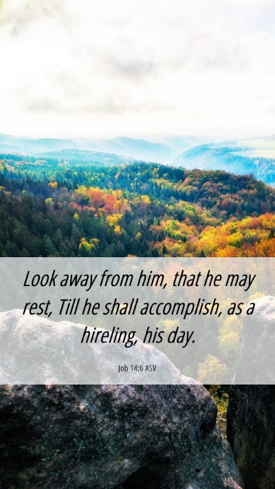 Picture 06 - Job 14:6 ASV Mobile Phone Wallpaper - Look away from him, that he may rest, Till he - Mobile Bible Verse Wallpaper