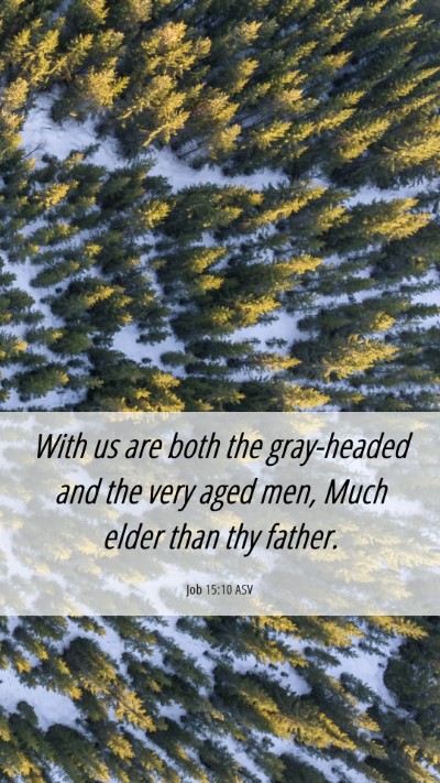Picture 06 - Job 15:10 ASV Mobile Phone Wallpaper - With us are both the gray-headed and the very - Mobile Bible Verse Wallpaper