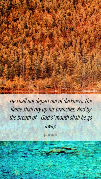 Picture 06 - Job 15:30 ASV Mobile Phone Wallpaper - He shall not depart out of darkness; The flame - Mobile Bible Verse Wallpaper