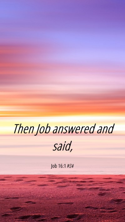 Picture 06 - Job 16:1 ASV Mobile Phone Wallpaper - Then Job answered and - Mobile Bible Verse Wallpaper