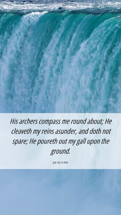 Picture 06 - Job 16:13 ASV Mobile Phone Wallpaper - His archers compass me round about; He cleaveth - Mobile Bible Verse Wallpaper