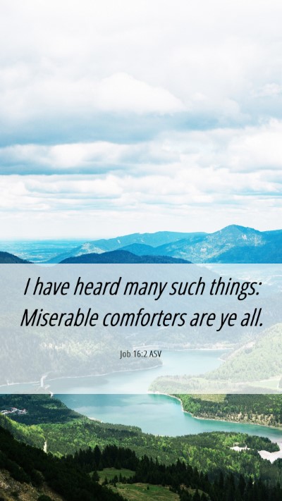 Picture 06 - Job 16:2 ASV Mobile Phone Wallpaper - I have heard many such things: Miserable - Mobile Bible Verse Wallpaper