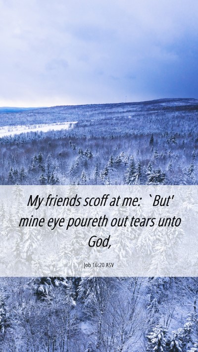 Picture 06 - Job 16:20 ASV Mobile Phone Wallpaper - My friends scoff at me: `But' mine eye poureth - Mobile Bible Verse Wallpaper