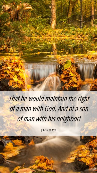 Picture 06 - Job 16:21 ASV Mobile Phone Wallpaper - That he would maintain the right of a man with - Mobile Bible Verse Wallpaper