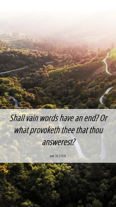 Picture 06 - Job 16:3 ASV Mobile Phone Wallpaper - Shall vain words have an end? Or what provoketh - Mobile Bible Verse Wallpaper