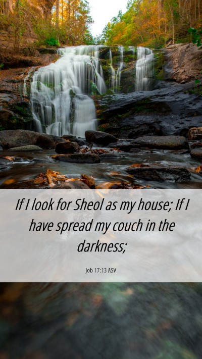 Picture 06 - Job 17:13 ASV Mobile Phone Wallpaper - If I look for Sheol as my house; If I have spread - Mobile Bible Verse Wallpaper