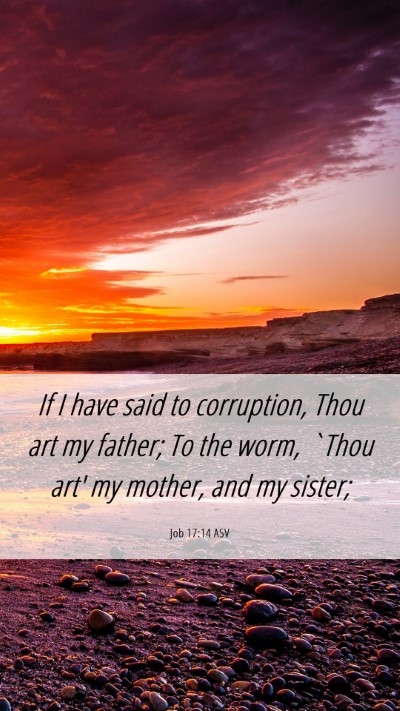 Picture 06 - Job 17:14 ASV Mobile Phone Wallpaper - If I have said to corruption, Thou art my father; - Mobile Bible Verse Wallpaper