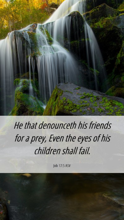Picture 06 - Job 17:5 ASV Mobile Phone Wallpaper - He that denounceth his friends for a prey, Even - Mobile Bible Verse Wallpaper