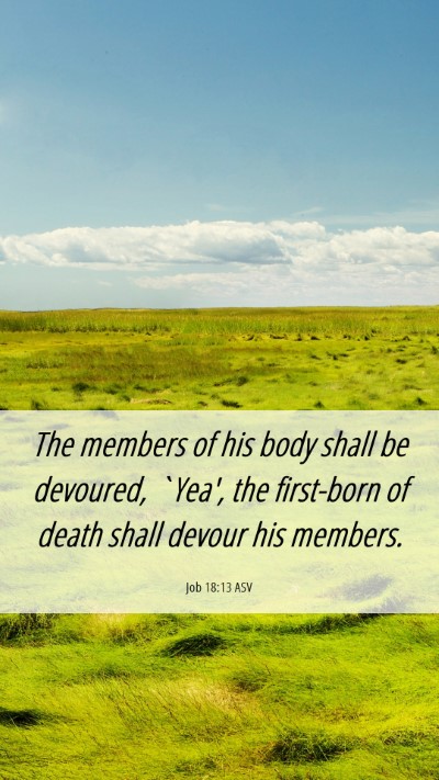 Picture 06 - Job 18:13 ASV Mobile Phone Wallpaper - The members of his body shall be devoured, `Yea', - Mobile Bible Verse Wallpaper