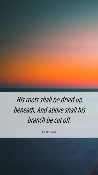 Picture 06 - Job 18:16 ASV Mobile Phone Wallpaper - His roots shall be dried up beneath, And above - Mobile Bible Verse Wallpaper