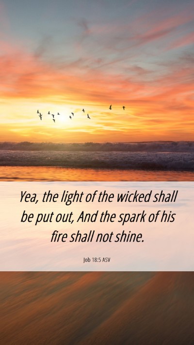Picture 06 - Job 18:5 ASV Mobile Phone Wallpaper - Yea, the light of the wicked shall be put out, - Mobile Bible Verse Wallpaper