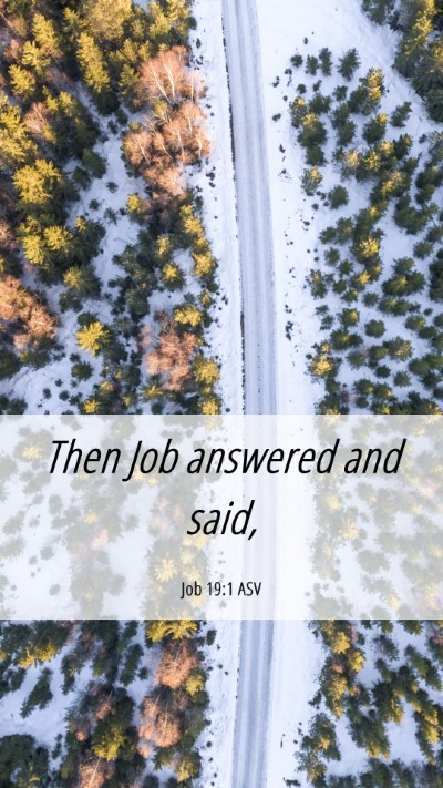 Picture 06 - Job 19:1 ASV Mobile Phone Wallpaper - Then Job answered and - Mobile Bible Verse Wallpaper