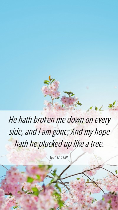 Picture 06 - Job 19:10 ASV Mobile Phone Wallpaper - He hath broken me down on every side, and I am - Mobile Bible Verse Wallpaper