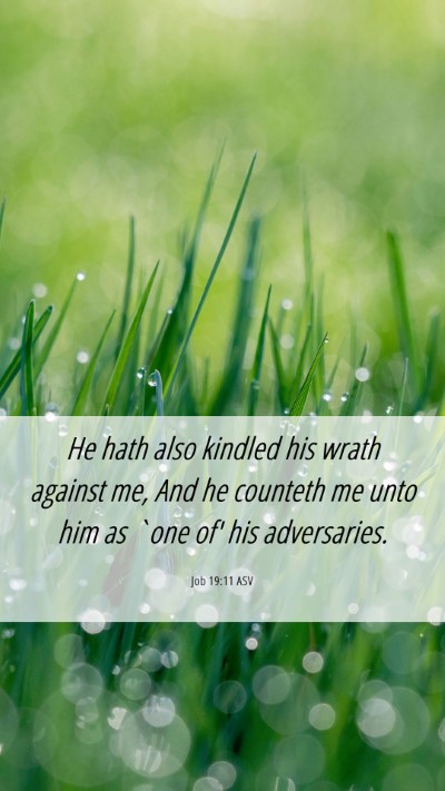 Picture 06 - Job 19:11 ASV Mobile Phone Wallpaper - He hath also kindled his wrath against me, And he - Mobile Bible Verse Wallpaper