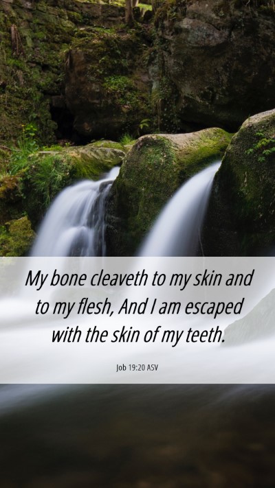 Picture 06 - Job 19:20 ASV Mobile Phone Wallpaper - My bone cleaveth to my skin and to my flesh, And - Mobile Bible Verse Wallpaper