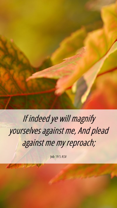 Picture 06 - Job 19:5 ASV Mobile Phone Wallpaper - If indeed ye will magnify yourselves against me, - Mobile Bible Verse Wallpaper