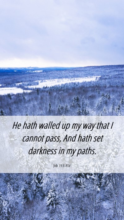 Picture 06 - Job 19:8 ASV Mobile Phone Wallpaper - He hath walled up my way that I cannot pass, And - Mobile Bible Verse Wallpaper