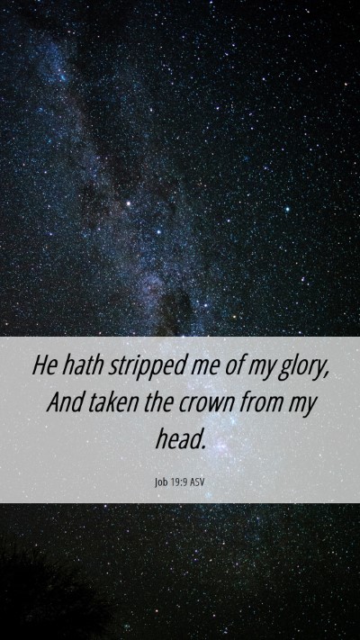 Picture 06 - Job 19:9 ASV Mobile Phone Wallpaper - He hath stripped me of my glory, And taken the - Mobile Bible Verse Wallpaper