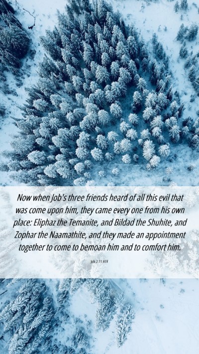 Picture 06 - Job 2:11 ASV Mobile Phone Wallpaper - Now when Job's three friends heard of all this - Mobile Bible Verse Wallpaper