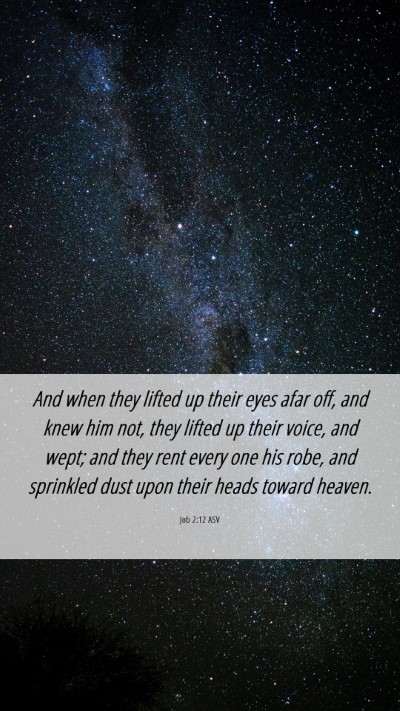 Picture 06 - Job 2:12 ASV Mobile Phone Wallpaper - And when they lifted up their eyes afar off, and - Mobile Bible Verse Wallpaper