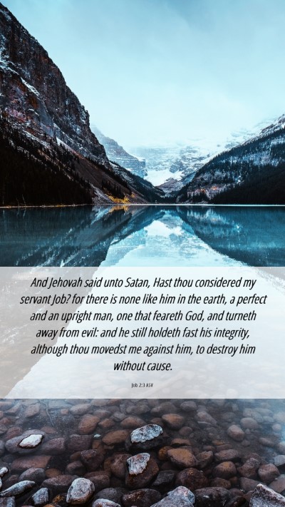 Picture 06 - Job 2:3 ASV Mobile Phone Wallpaper - And Jehovah said unto Satan, Hast thou considered - Mobile Bible Verse Wallpaper