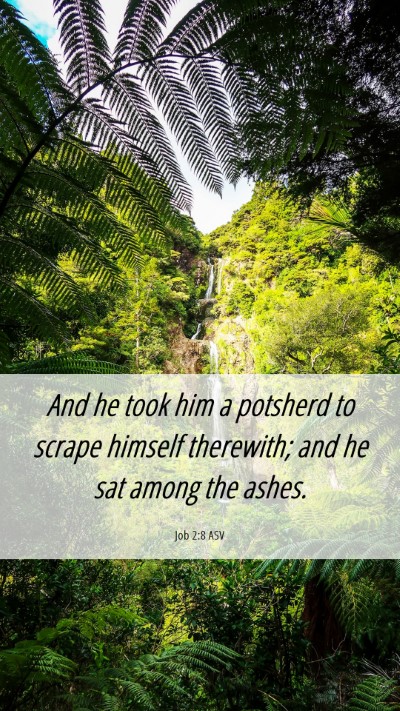Picture 06 - Job 2:8 ASV Mobile Phone Wallpaper - And he took him a potsherd to scrape himself - Mobile Bible Verse Wallpaper