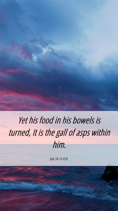 Picture 06 - Job 20:14 ASV Mobile Phone Wallpaper - Yet his food in his bowels is turned, It is the - Mobile Bible Verse Wallpaper