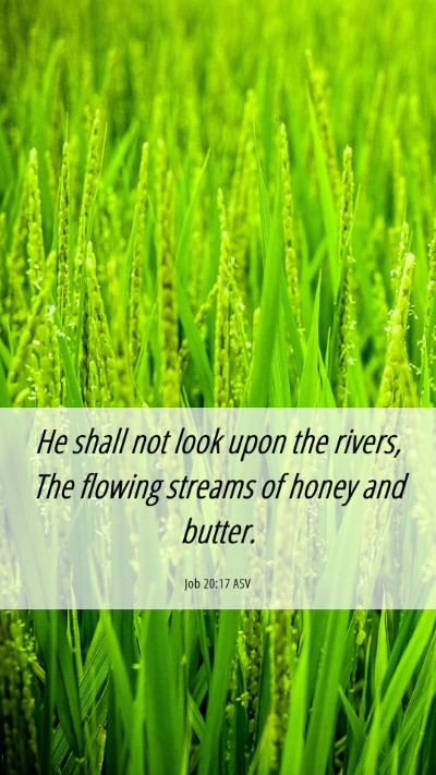Picture 06 - Job 20:17 ASV Mobile Phone Wallpaper - He shall not look upon the rivers, The flowing - Mobile Bible Verse Wallpaper