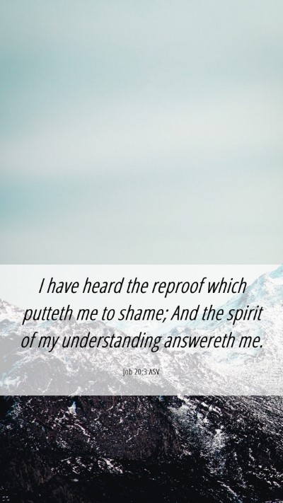 Picture 06 - Job 20:3 ASV Mobile Phone Wallpaper - I have heard the reproof which putteth me to - Mobile Bible Verse Wallpaper