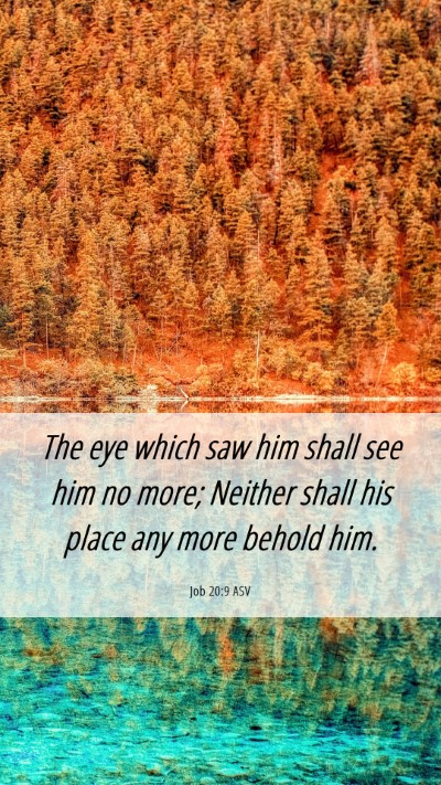 Picture 06 - Job 20:9 ASV Mobile Phone Wallpaper - The eye which saw him shall see him no more; - Mobile Bible Verse Wallpaper