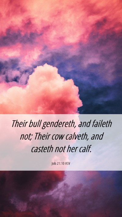 Picture 06 - Job 21:10 ASV Mobile Phone Wallpaper - Their bull gendereth, and faileth not; Their cow - Mobile Bible Verse Wallpaper